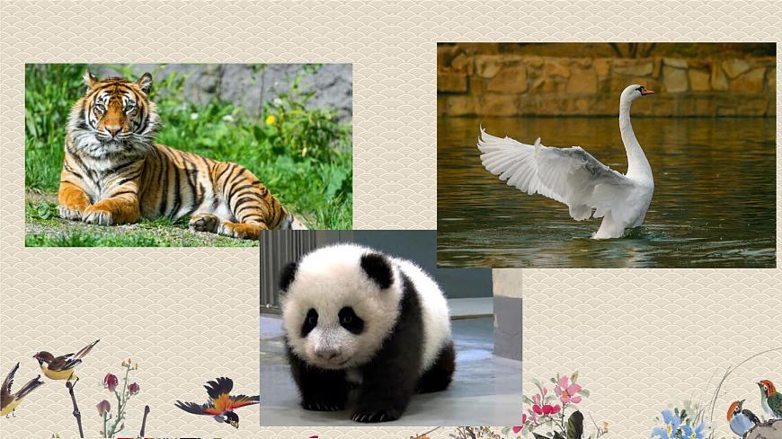 人教部編版四年級上冊語文 《習作：小小的動物園》課件第3頁