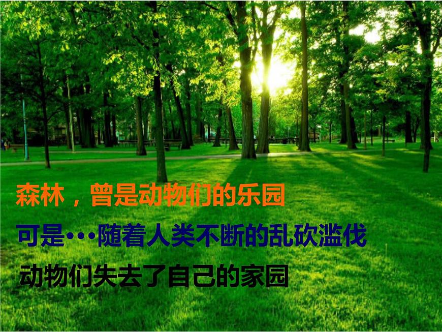 人教版音樂三年級下冊《森林的故事》課件3第3頁