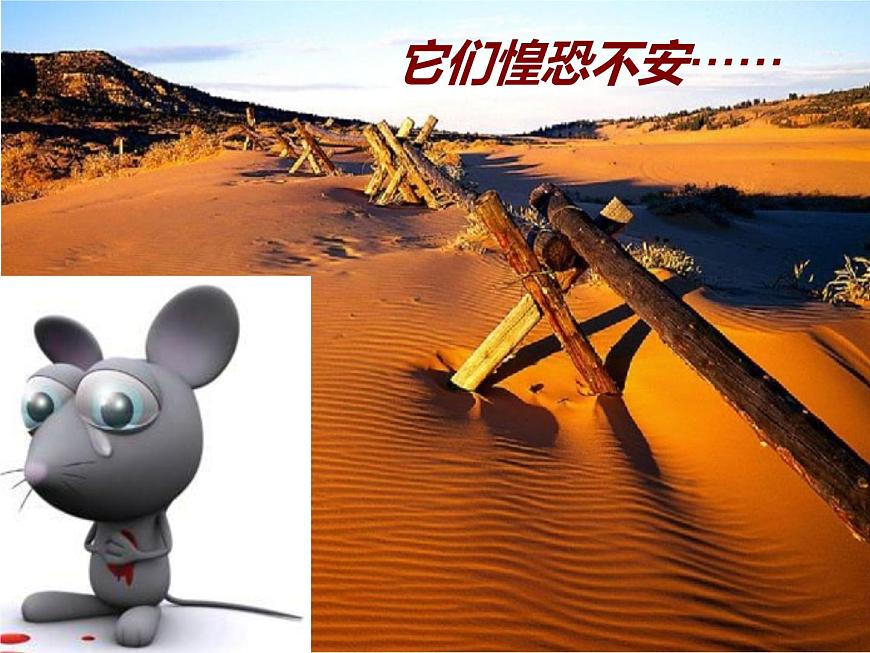 人教版音樂三年級下冊《森林的故事》課件3第4頁