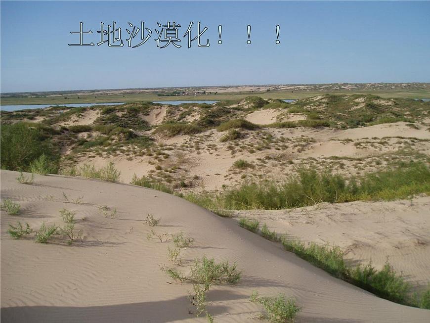 人教版音樂三年級下冊《森林的故事》課件3第7頁