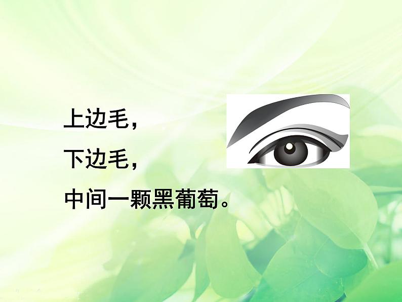 人教版音乐小学二年级上册《猜谜谣》课件03第6页