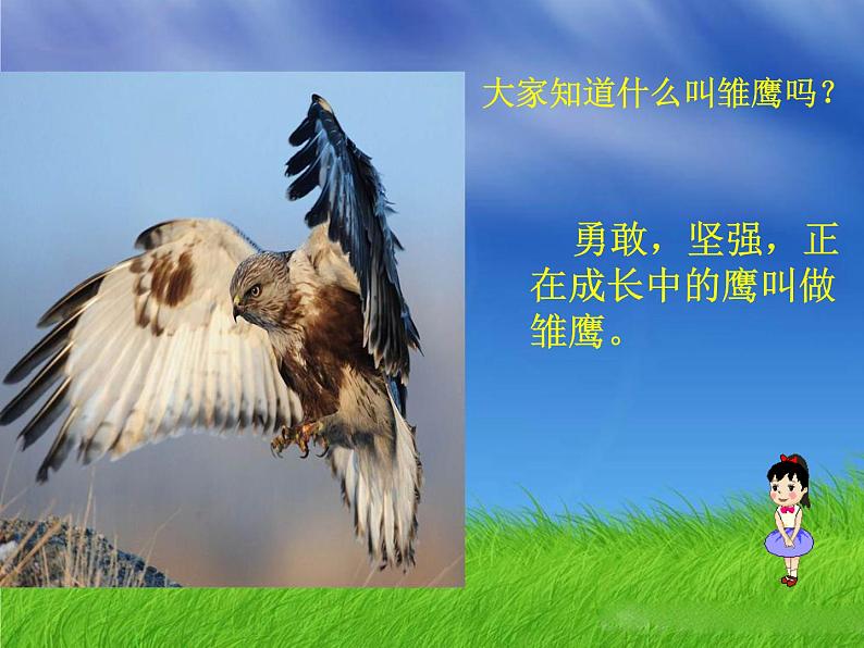 《雏鹰之歌》课件第4页