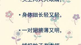 小学人音版小蜻蜓课文课件ppt