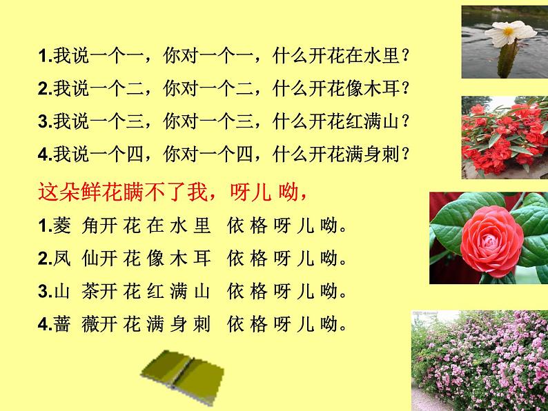 人教新课标三年级上册音乐第六单元 对鲜花 1-课件(共10张PPT)05