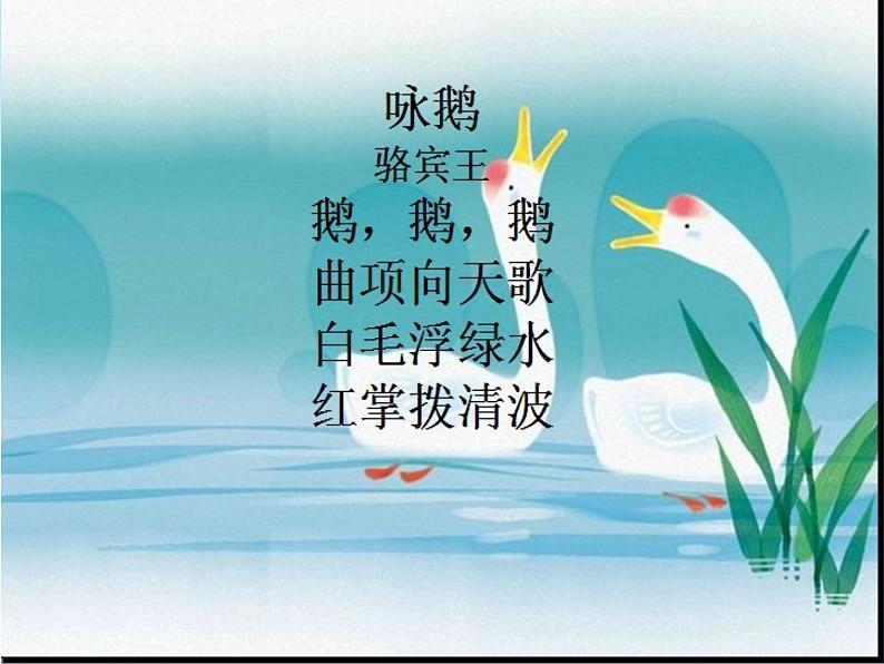花城版小学音乐一年级上册13.1 歌曲《咏鹅》课件(10张)03
