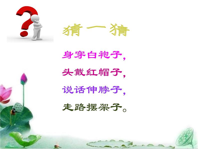 花城版小学音乐一年级上册13.1 歌曲《咏鹅》课件(13张,内嵌音频)第2页