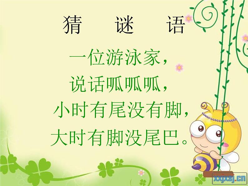 人教小学音乐一上《4.1小青蛙找家》PPT课件06