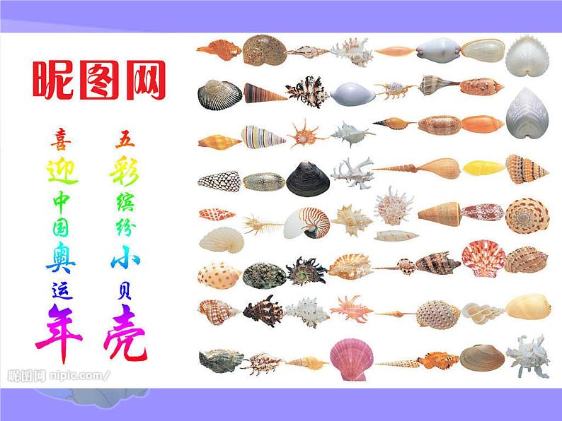 三年级下册 第五单元 七彩的生活 贝壳之歌课件PPT第4页