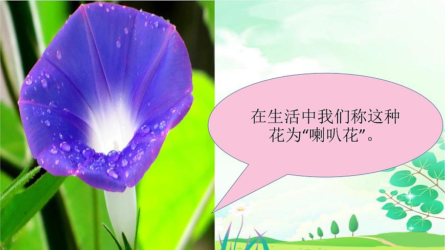 一年級音樂上冊第4課牽牛花當喇叭課件1湘藝版第4頁