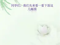 一年级音乐上册第6课我爱我的家课件1湘艺版