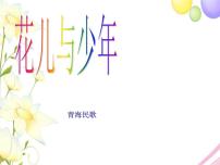小学音乐湘艺版五年级上册第六课花儿与少年说课课件ppt