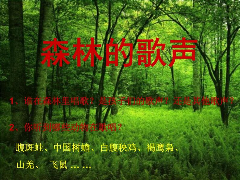 三年级音乐上册第4课森林的歌声课件湘艺版02