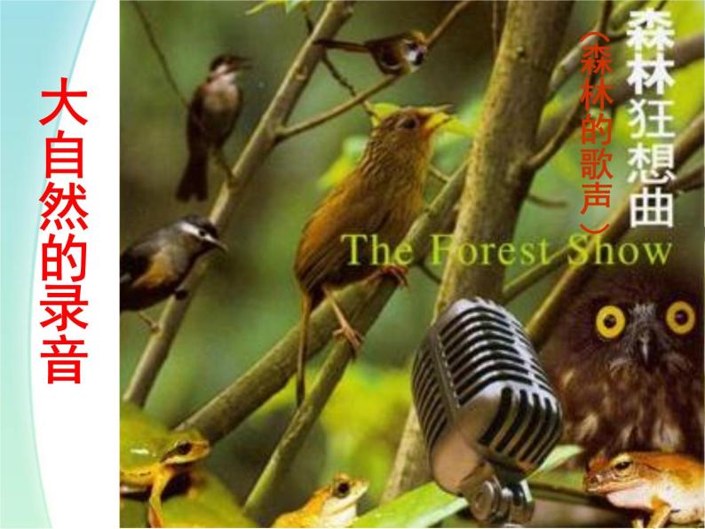 三年级音乐上册第4课森林的歌声课件湘艺版05