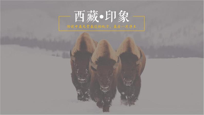 四年级上册音乐(演唱)我的家乡日喀则 湘文艺版 (共36张PPT) 课件PPT06