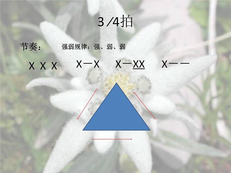 花城版小学音乐五年级上册 9.5 雪绒花 课件(8张)04