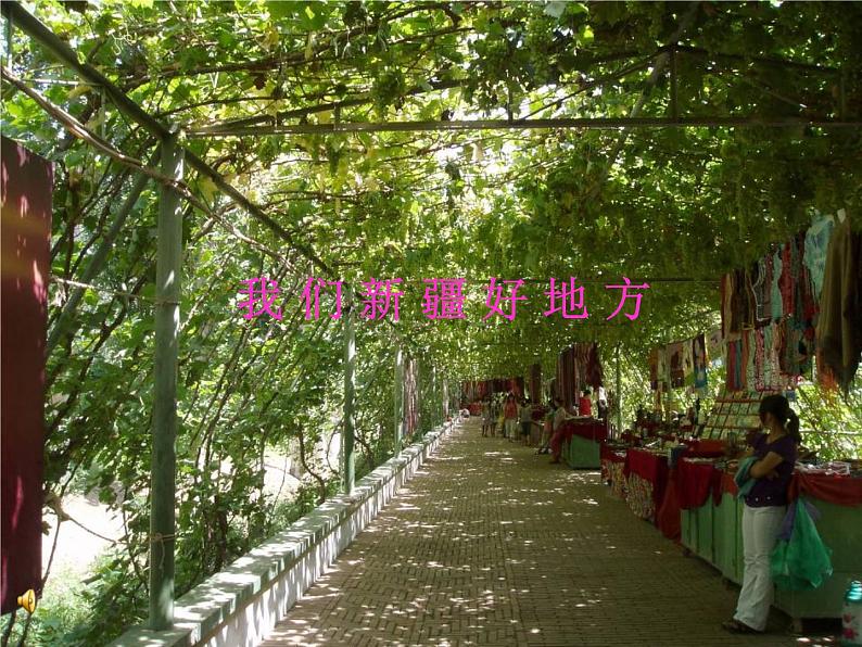 五年级音乐上册第8课青春舞曲课件2花城版第4页