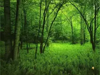 请你唱个歌吧PPT课件免费下载