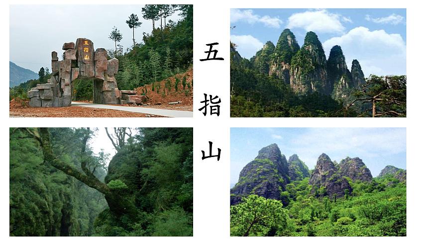 湘藝版 二年級(jí)上冊(cè)音樂 第七課 (集體舞)跳竹竿(1)(課件)第2頁