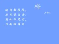 四年级音乐上册第八单元踏雪寻梅课件2苏少版