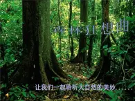 （聽(tīng)賞）森林狂想曲（電子音樂(lè)） 課件+素材（無(wú)教案）