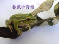 湘艺版一年级上册（综合表演）小青蛙找家教学ppt课件