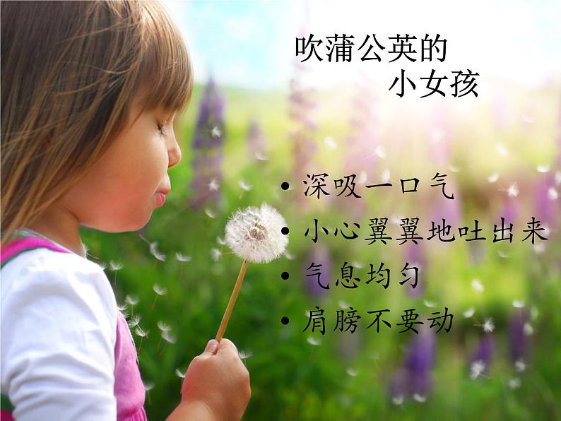 音乐 人音版(简谱)四年级上册 第五课 童心是小鸟(课件)03
