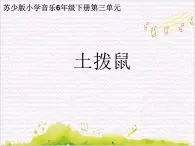 弦之歌  / 土撥鼠課件PPT