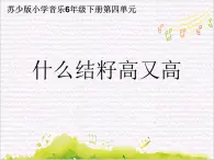 欢腾的边寨 / 什么结籽高又高课件PPT