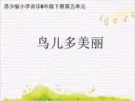 動(dòng)感拉丁舞   / 鳥(niǎo)兒多美麗課件PPT