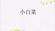 小学音乐苏少版六年级下册小白菜 夜歌图片ppt课件