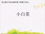 溯流探源  /  小白菜課件PPT