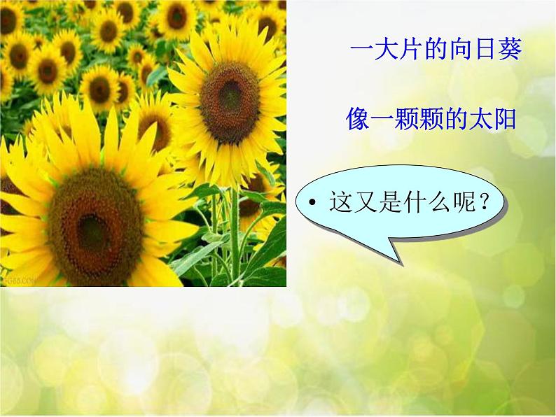 小学四年级下册音乐-《种太阳》3人音版(简谱)(17张)ppt课件04