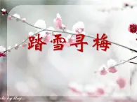 湘藝版音樂五年級上冊第十課 踏雪尋梅（課件） 音樂五年級上冊 湘藝版（13張）