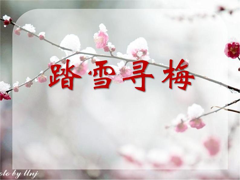 湘艺版音乐五年级上册第十课 踏雪寻梅(课件) 音乐五年级上册 湘艺版(13张)01