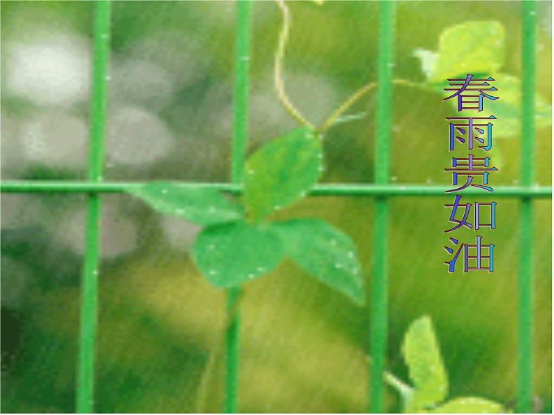 小学【课件】4《春天举行音乐会》三年级下册音乐-人音版(五线谱)(共18张PPT)第4页