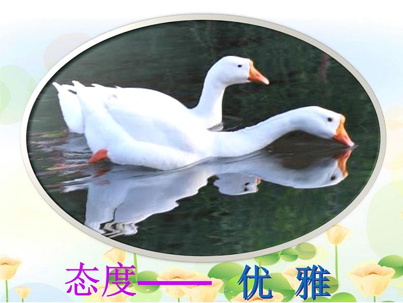 八只小鹅PPT课件免费下载04
