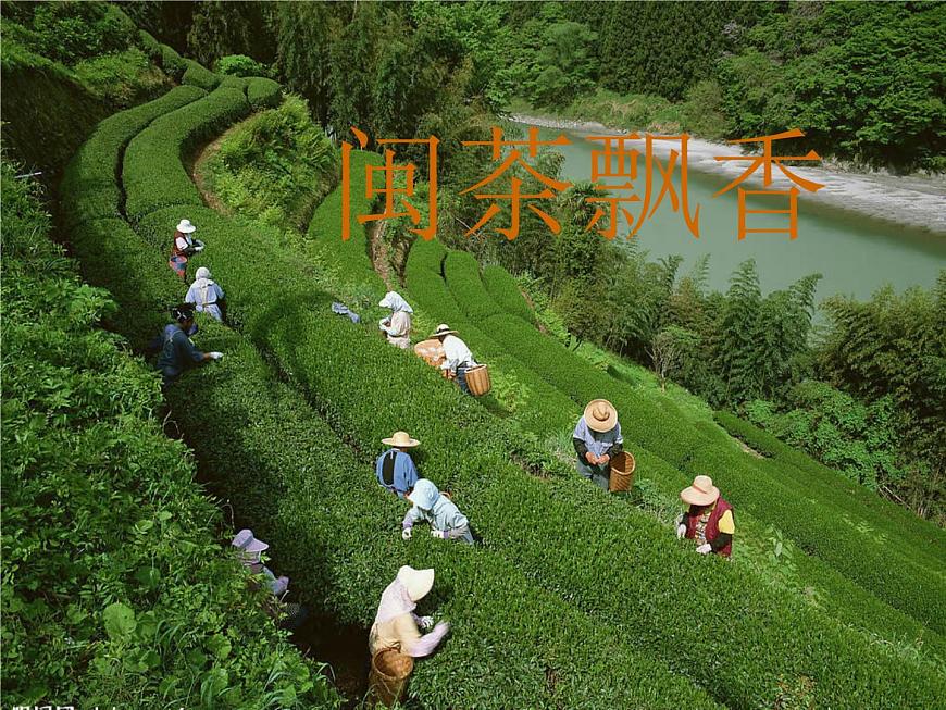 小學(xué)音樂(聽賞)采茶歌-課件-(2)ppt (1)第7頁(yè)