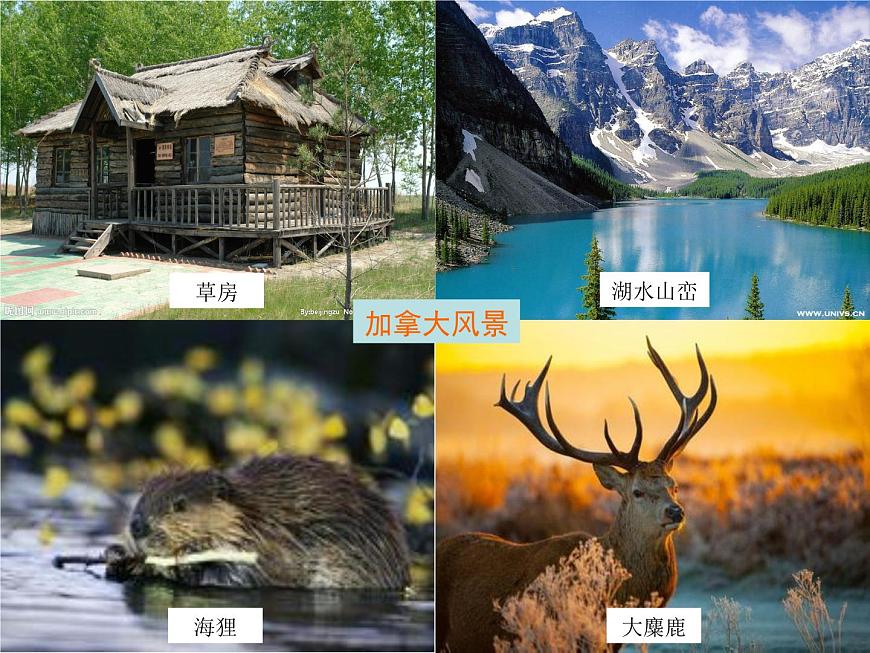 小學(xué)音樂白樺林好地方-課件-(4)ppt第6頁