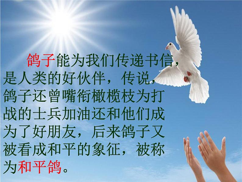 小学音乐白鸽-课件-(7)ppt第6页