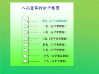 人教版六年级下册音乐v     八孔指法竖笛指法表课件PPT