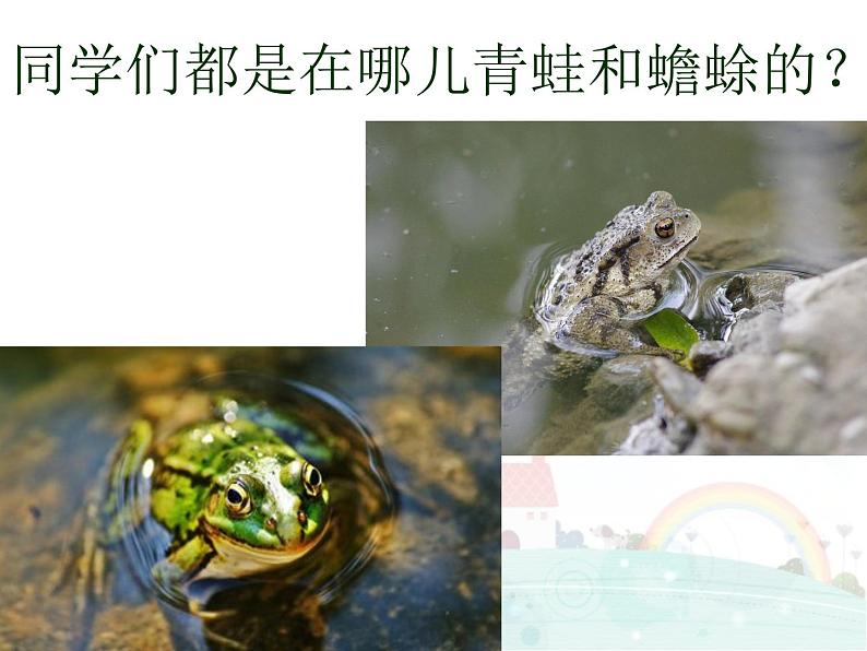 小学音乐3《癞蛤蟆和小青蛙》四年级下册音乐-人音版(五线谱)(共30张PPT)ppt课件07