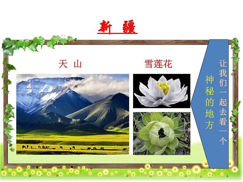 小学五年级下册音乐课件-7.1在葡萄架下湘教版-(共18张PPT)第3页