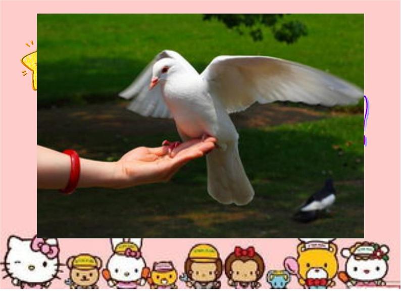人教版小学三年级音乐白鸽 课件 (4)第2页
