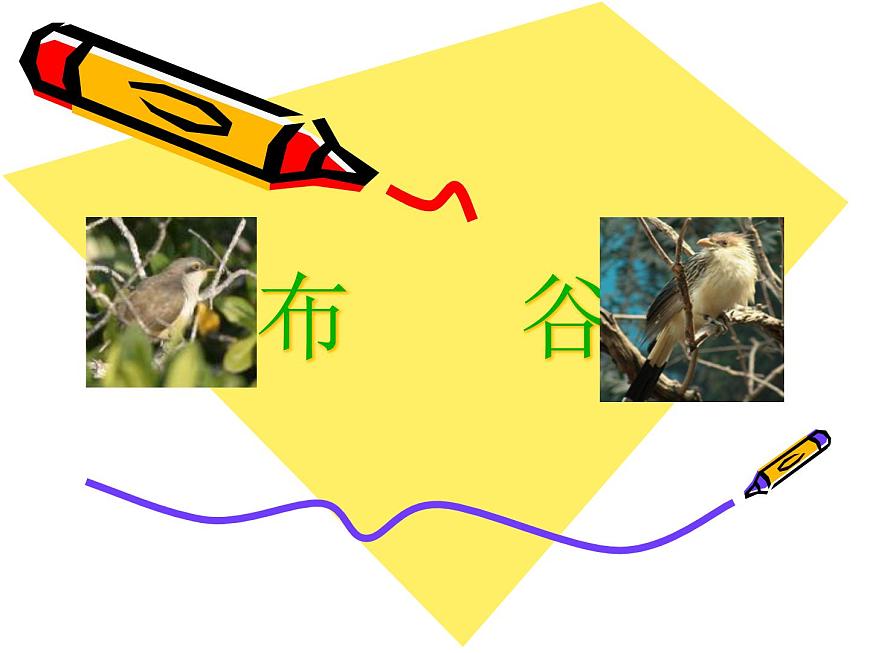 人教版小學(xué)一年級音樂布谷 課件 (3)第1頁