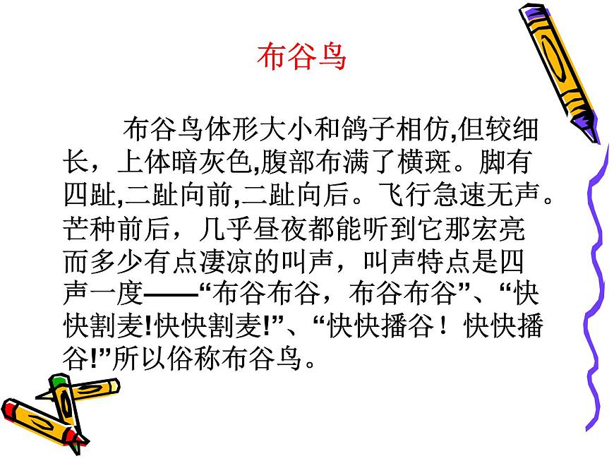 人教版小學(xué)一年級音樂布谷 課件 (3)第2頁
