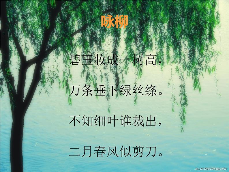 人教版小学一年级音乐柳树姑娘 课件第2页