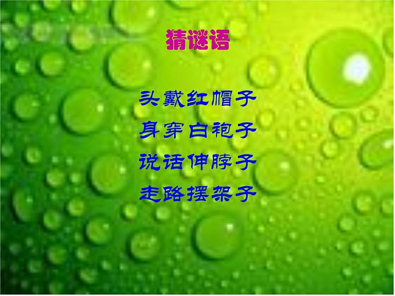 湘艺版小学二年级音乐音乐二年级下湘艺版5咏鹅课件(22张)第3页