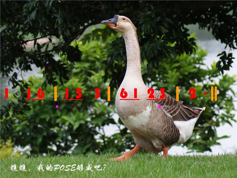 湘艺版小学二年级音乐音乐二年级下湘艺版5咏鹅课件(22张)1第8页