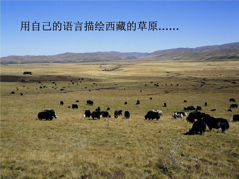 湘艺版小学二年级音乐音乐二年级下湘艺版1多快乐呀多幸福课件 (27张)第8页
