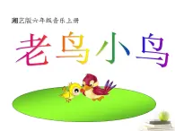 湘艺版小学六年级音乐（演唱）老鸟，小鸟 课件 (2)